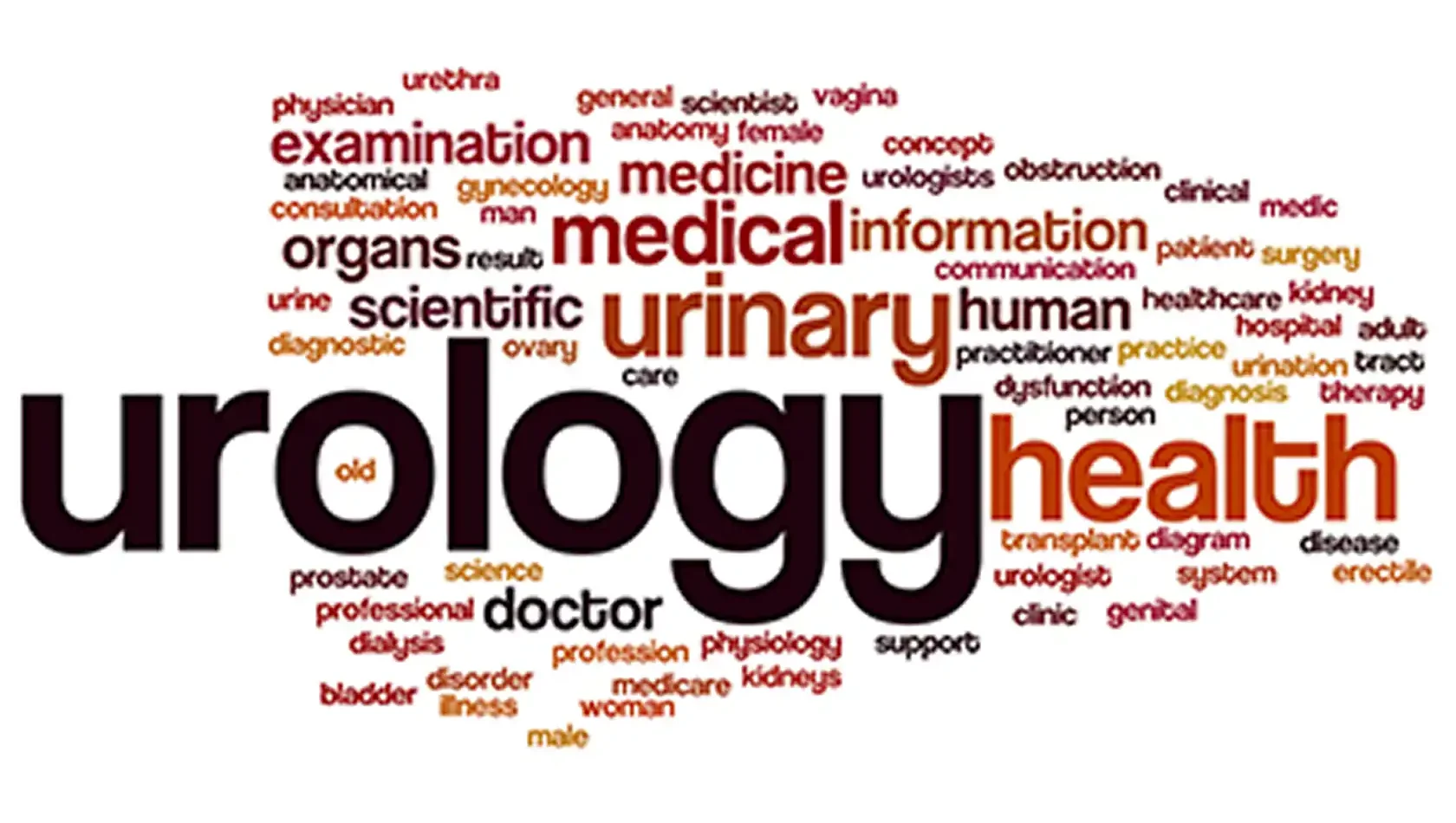 Urological Services Cover Blog Image